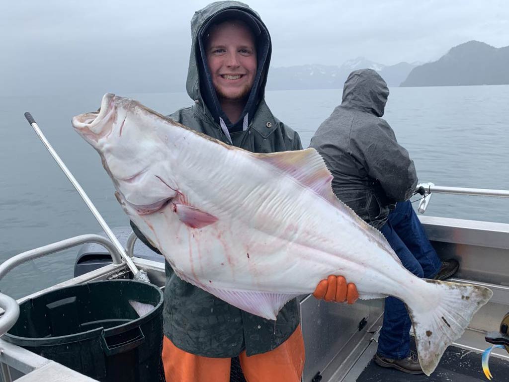 Homer Fishing The Complete Guide (Updated 2023)