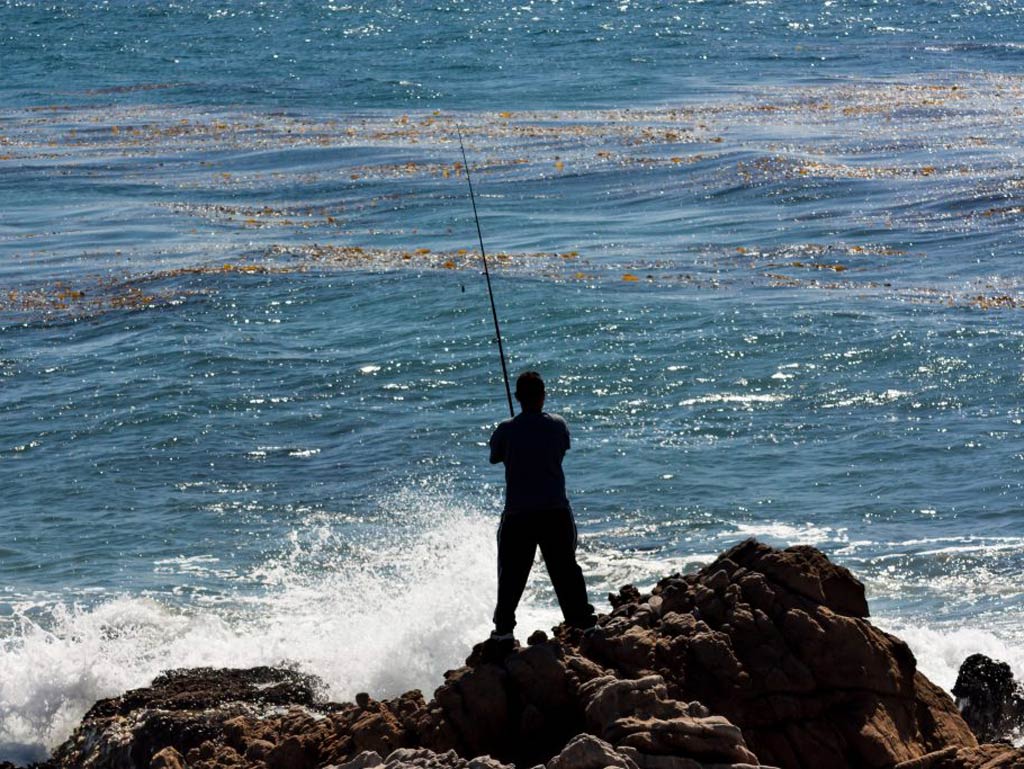 Dana Point Fishing The Complete Guide (Updated 2023)