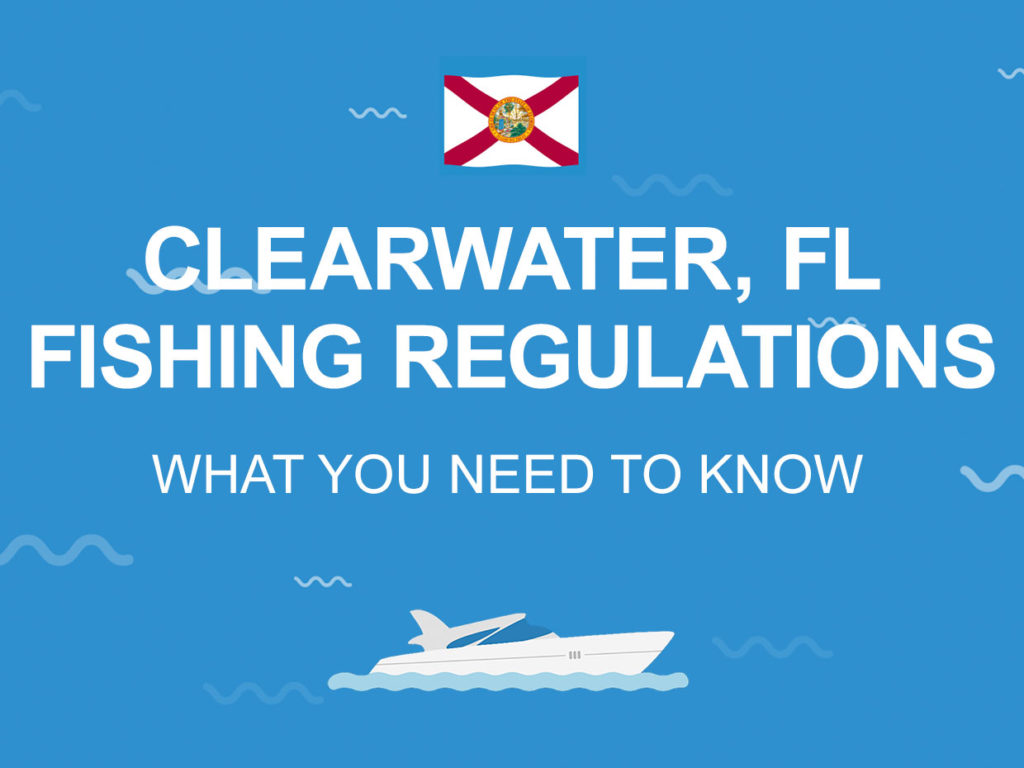 An infographic with the Florida state flag and "Clearwater, FL fishing regulations: what you need to know" in white on a blue background