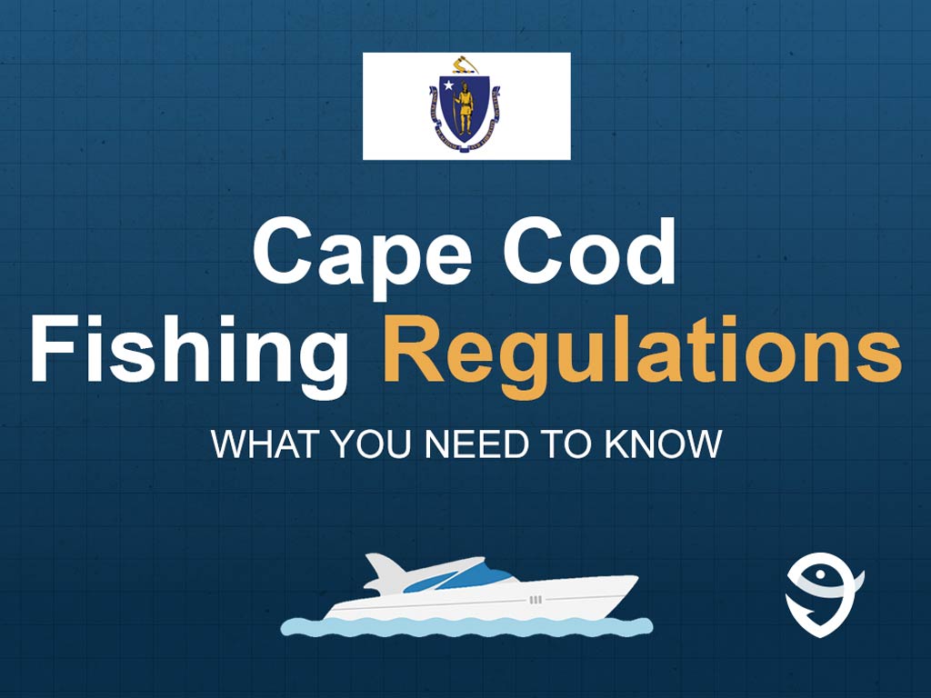 An infographic including the state flag of Massachusetts, a vector of a boat, and the FishingBooker logo, along with text saying "Cape Cod Fishing Regulations: What You Need to Know" against a blue background