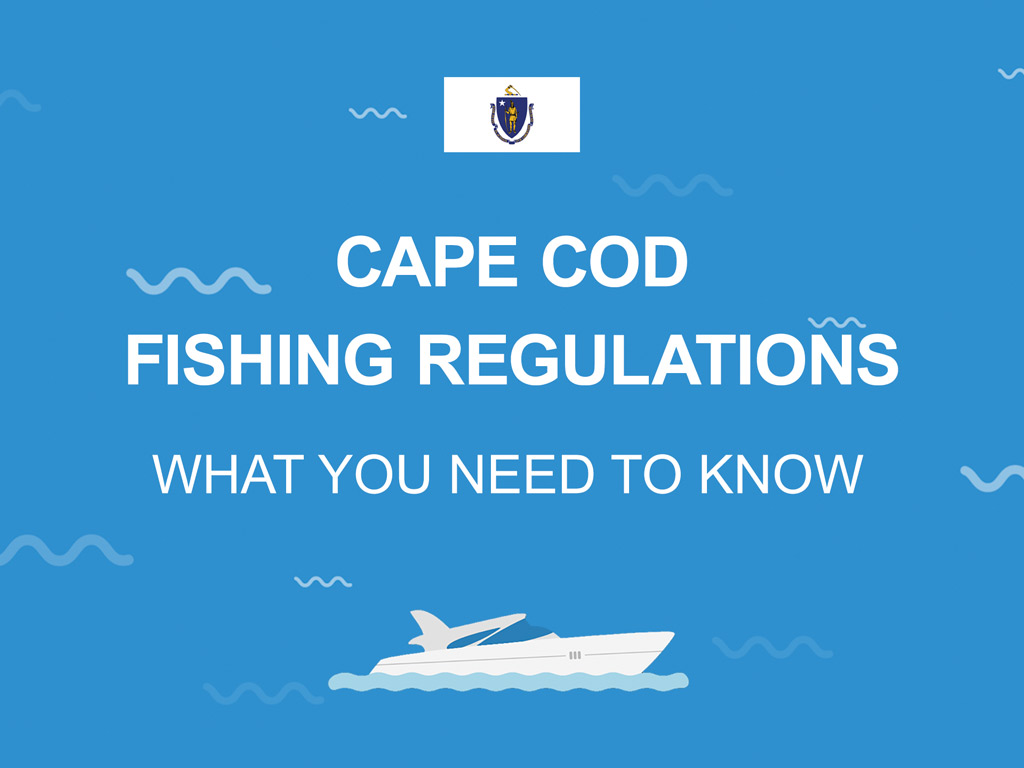 An infographic featuring the Massachusetts state flag along with the text that says "Cape Cod fishing regulations what you need to know"