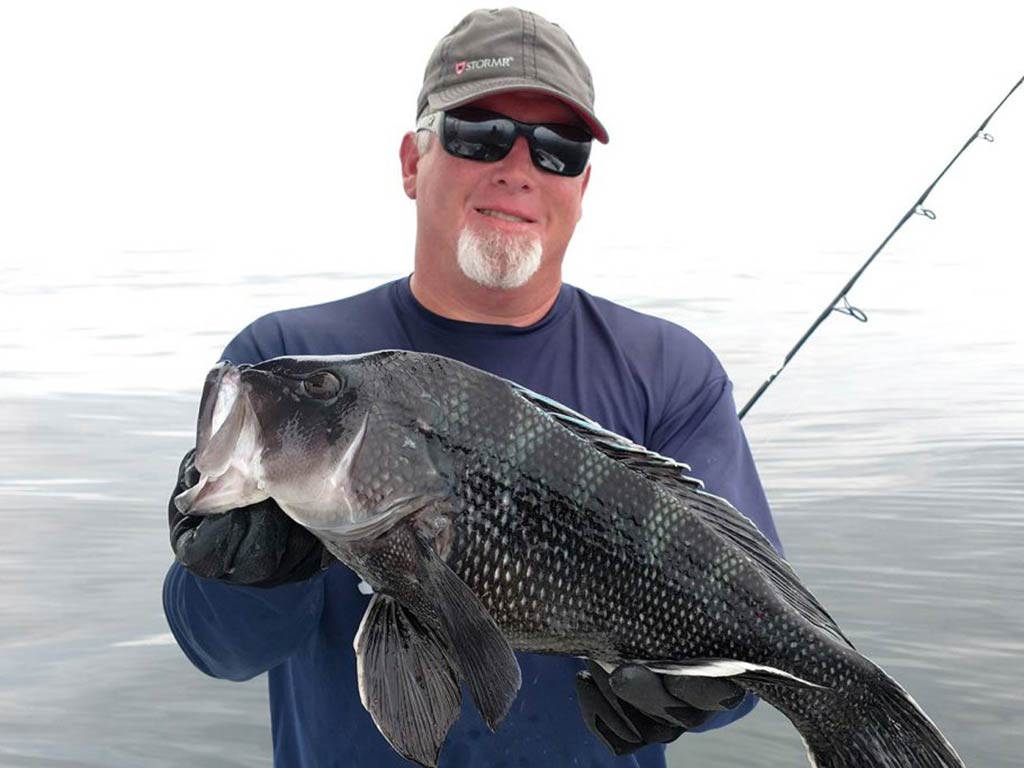 A photo of an angler wearing sunglasses and a cap and holding a Black Seabass caught while fishing in Cape Cod