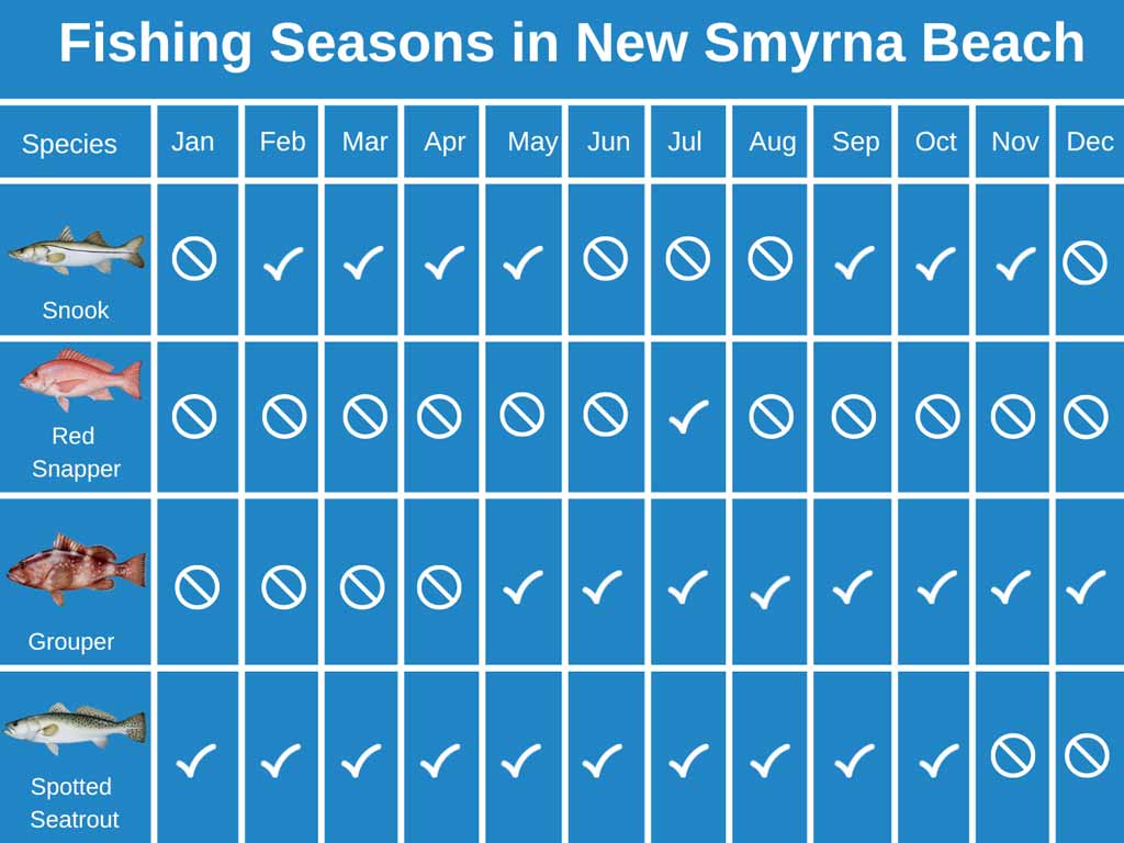 New Smyrna Beach Fishing The Complete Guide (Updated 2022)