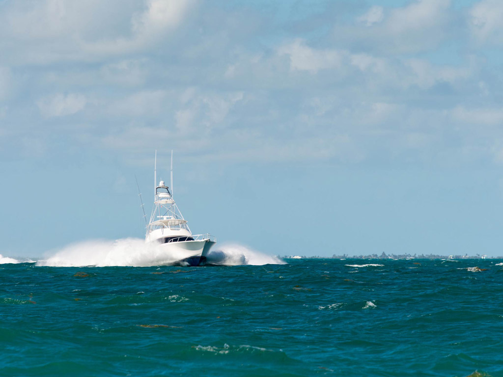 A charter boat speeding on the water