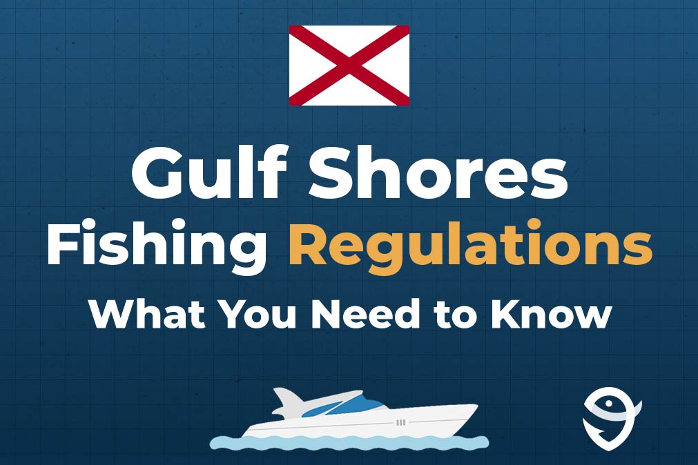 An infographic including a vector of a boat, the FishingBooker logo, the state flag of Alabama, and text stating "Gulf Shores Fishing Regulations: What You Need to Know" against a blue background