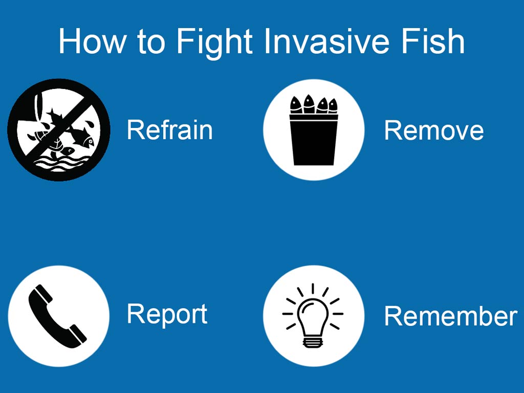 Invasive Fish in An Intro for Anglers (Updated 2023)