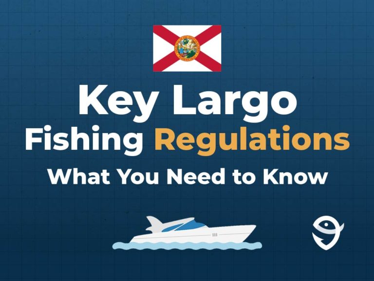 Key Largo Fishing The Complete Guide (Updated 2023)