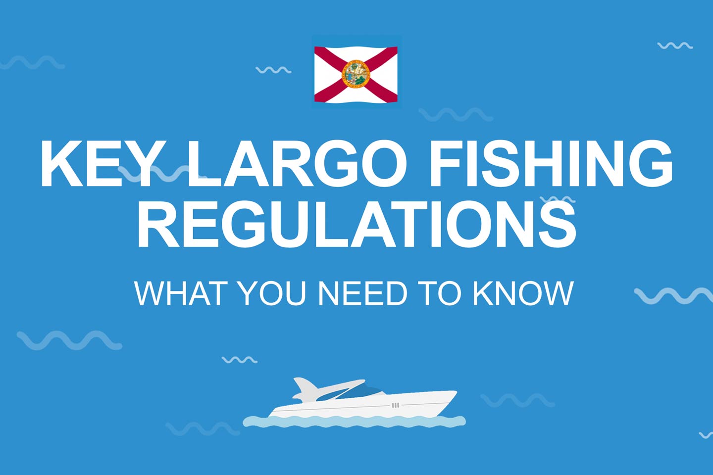 Key Largo Fishing The Complete Guide (Updated 2022)