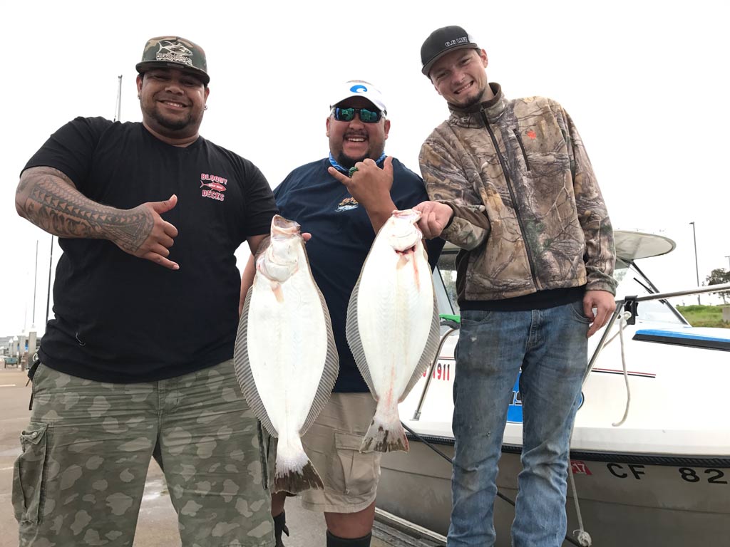 Bodega Bay Fishing The Complete Guide (Updated 2023)