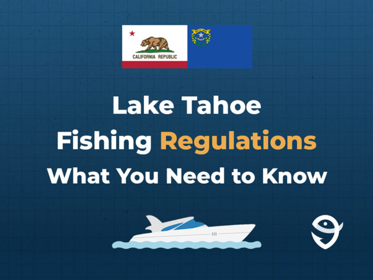 Lake Tahoe Fishing The Complete Guide