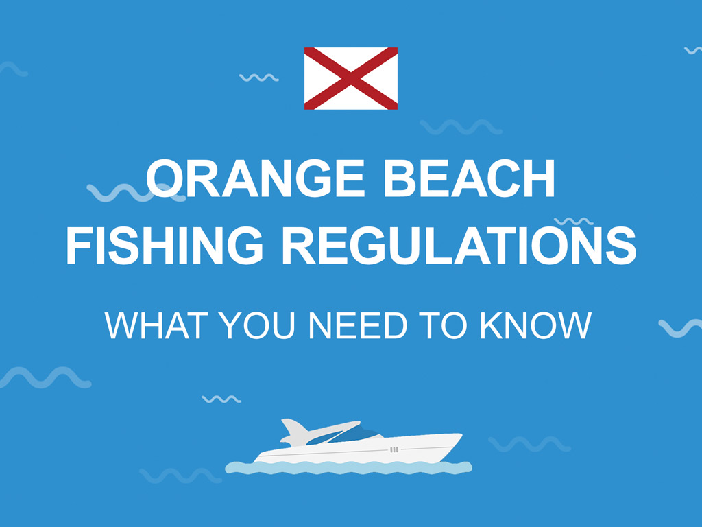 Orange Beach Fishing The Complete Guide (Updated 2022)