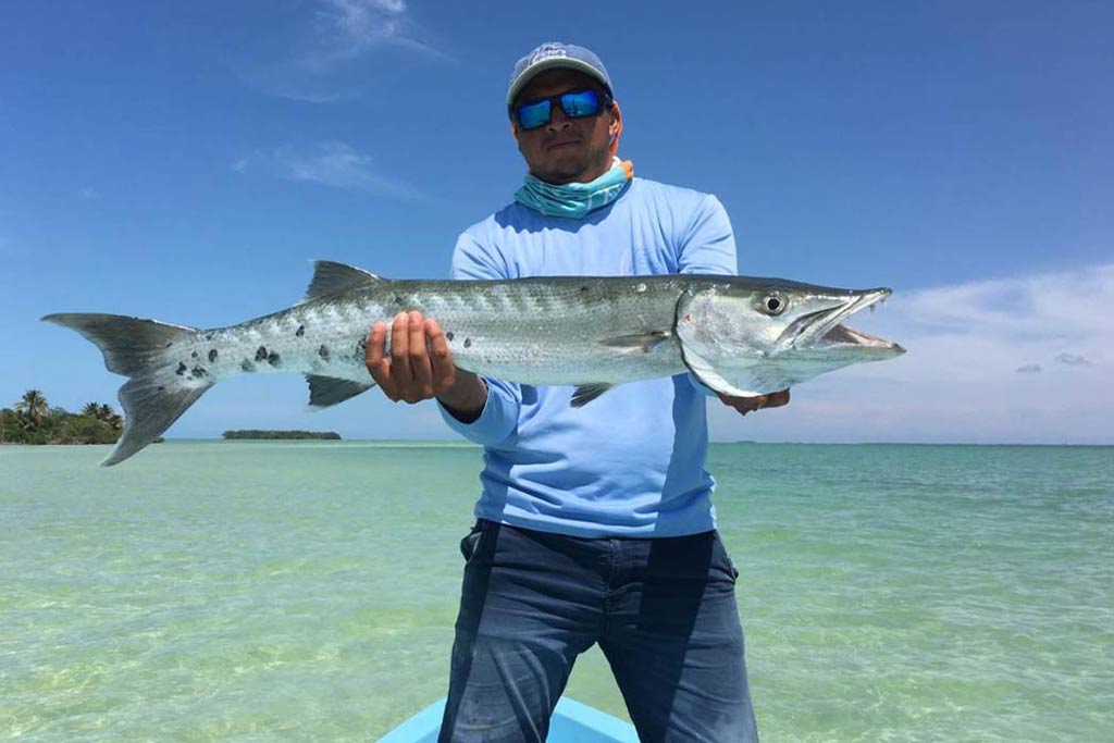 Aruba Fishing The Complete Guide (Updated 2023)