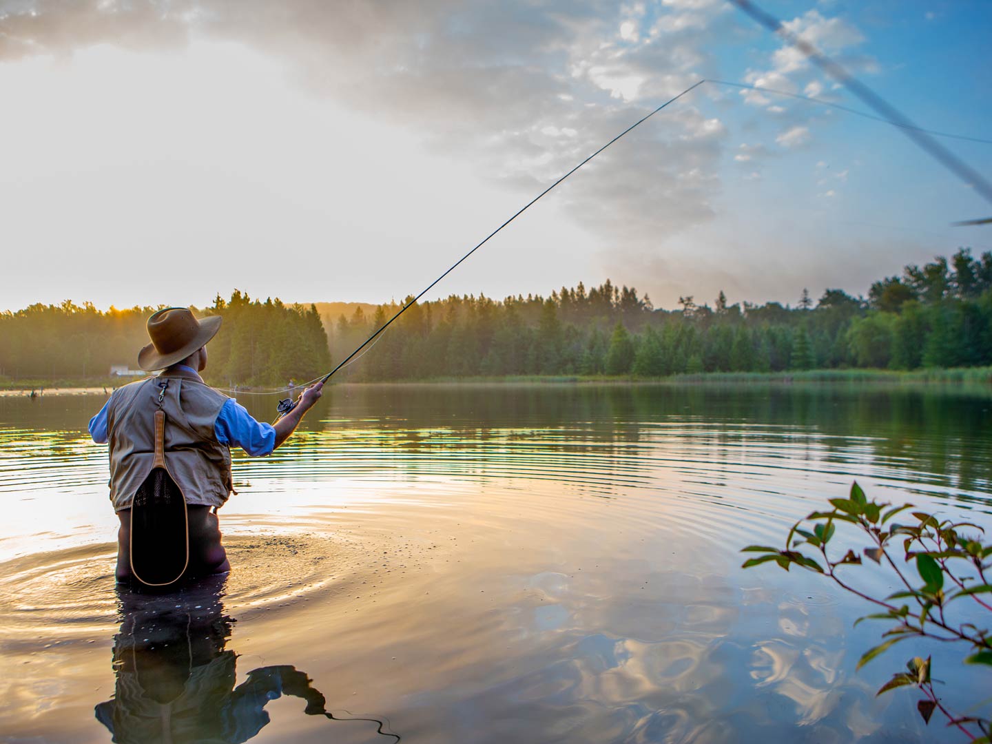 How to Fish for Snook: The Complete Guide