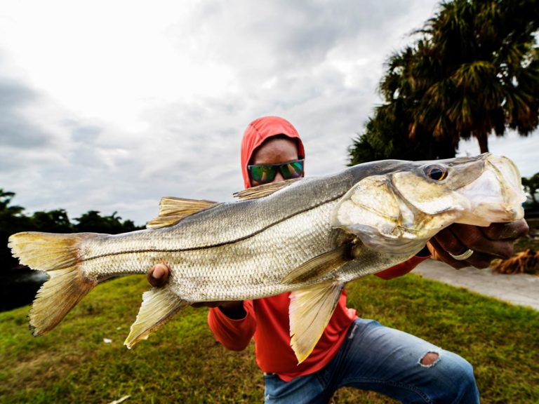 How to Fish for Snook The Complete Guide (Updated 2023)