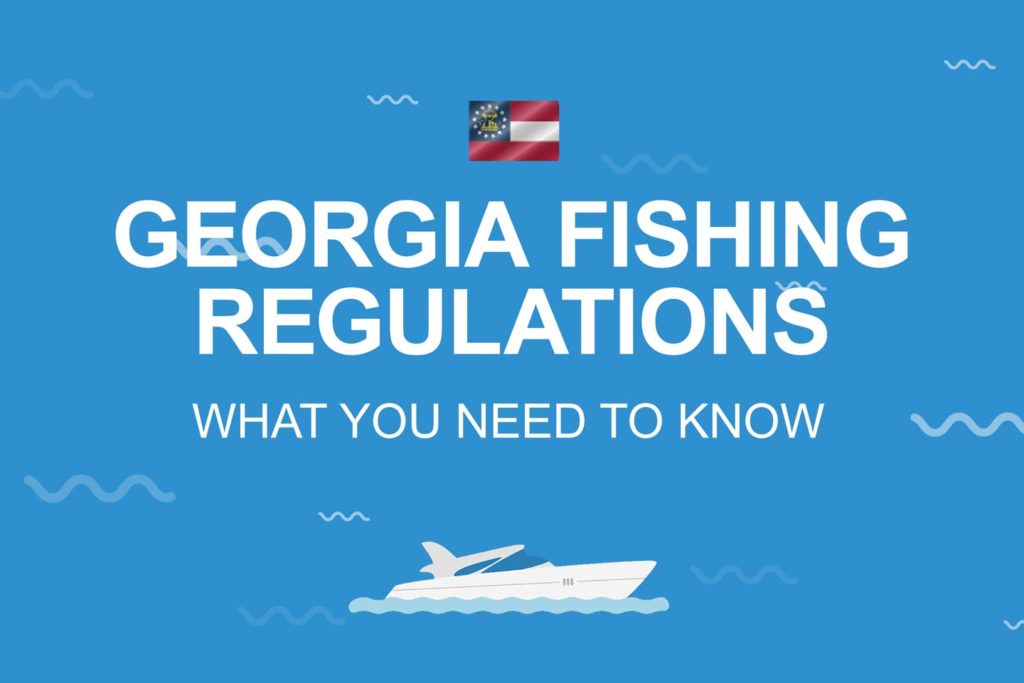 Georgia Fishing: The Complete Guide (Updated 2023)