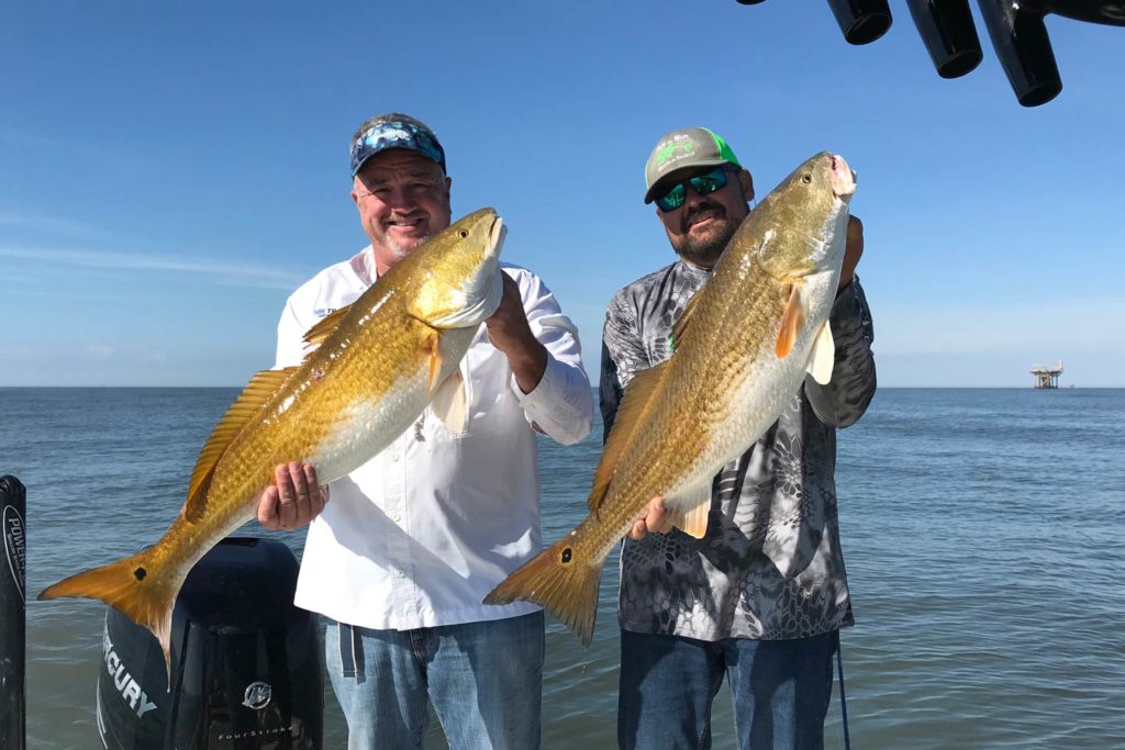 Two anglers aboard a boat holding large Louisiana Redfish.