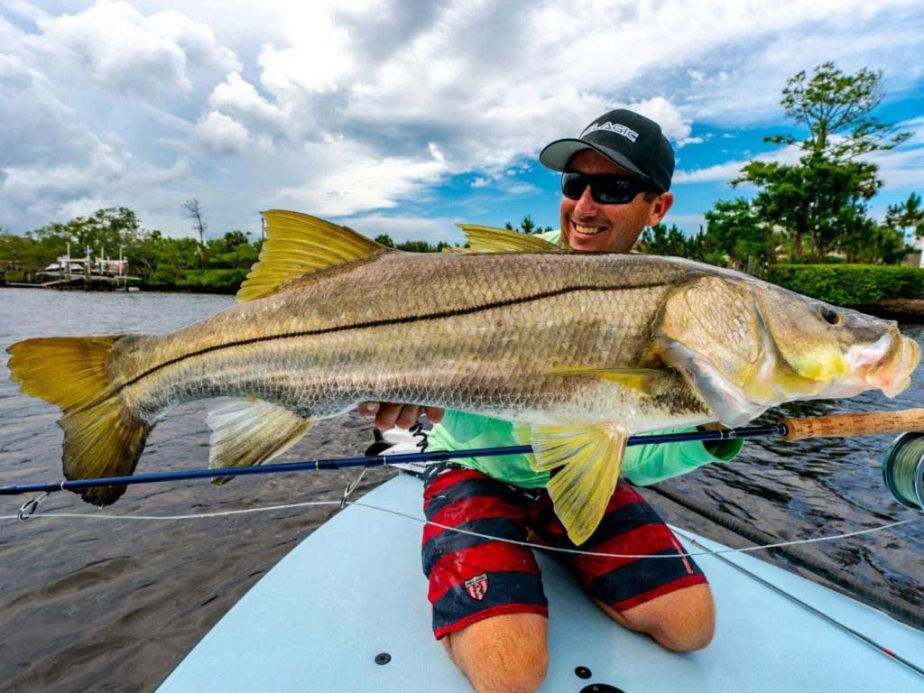 What Does a Snook Fish Look Like Fishing Form