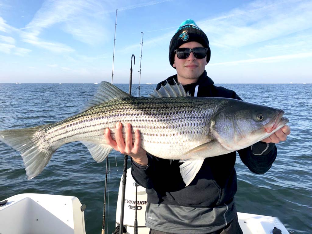 An angler holding a Striped Bass on a boat in New Jersey