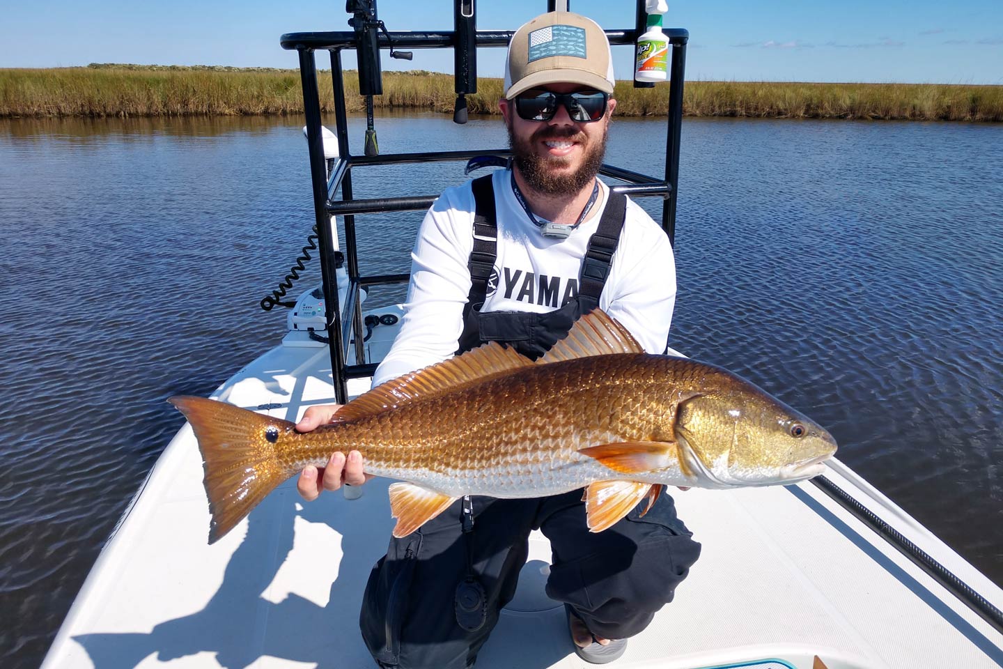 Florida Redfish Regulations 2024 - Leela Myrlene