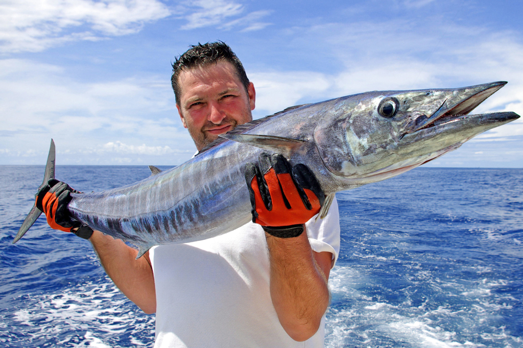 wahoo fish speed