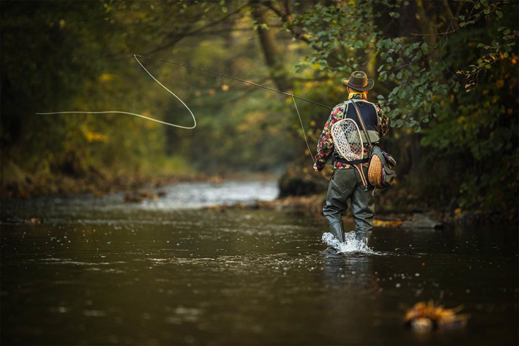 Fly Fishing for Salmon: A Beginner's Guide