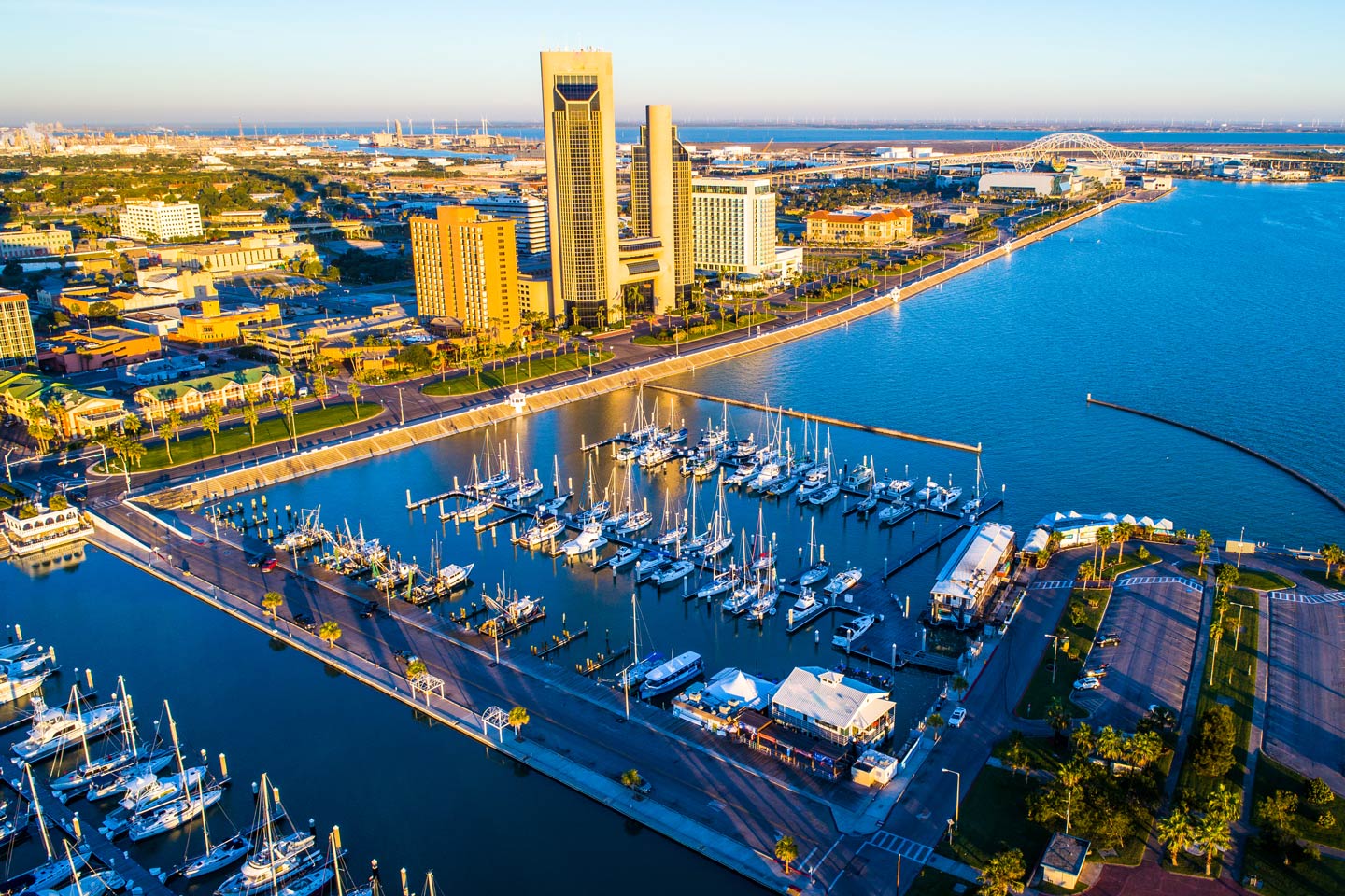 Deep Sea Fishing In Corpus Christi: The Complete Guide (updated 2023)