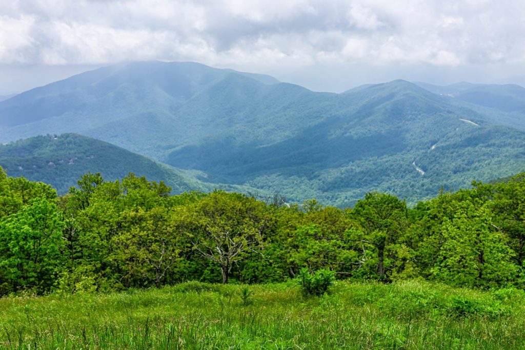 A summer fog rolling down the Blue Ridge Mountains in Virginia.