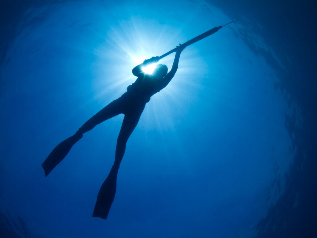 An image from below of a spear fisherman in the water, fishing close to the surface, holding their speargun in front of them with the sun visible above them, creating a sillhouette