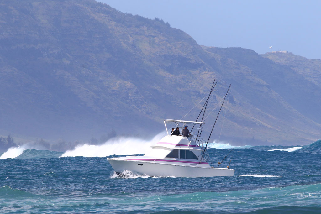 Charter boat trolling in the water, with waves and mountainous landscape in the background