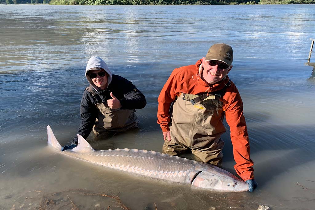 Oregon Sturgeon Fishing All You Need to Know