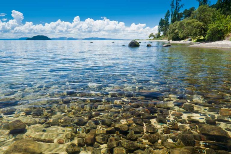 Fishing in New Zealand: Your Complete Guide
