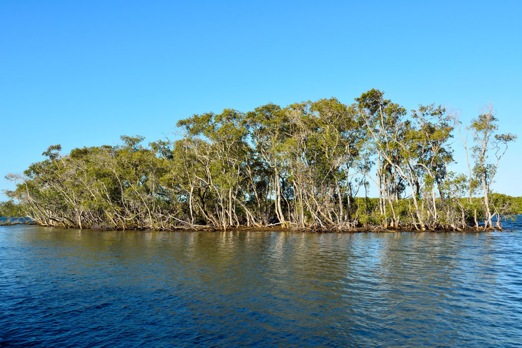 Top 9 Fishing Spots in Gold Coast (Updated 2022)