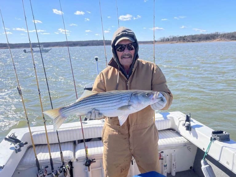 Best Bait for Striped Bass and How to Use It (Updated 2023)