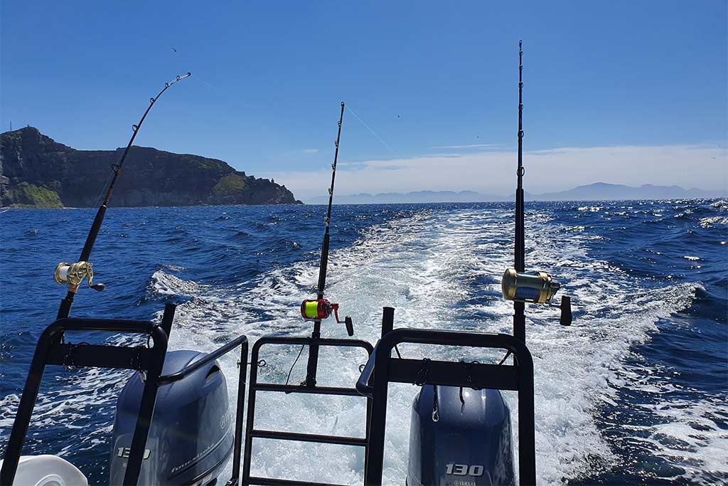 Trolling lines trail behind a saltwater fishing charter in South Africa