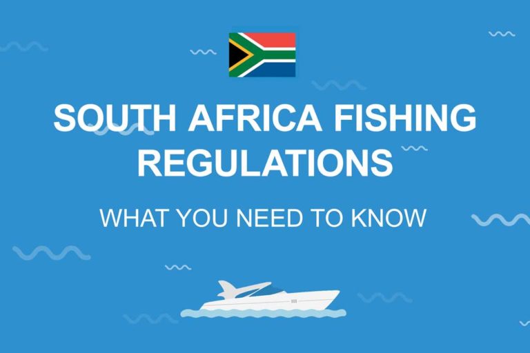 South Africa Fishing The Complete Guide (Updated 2023)