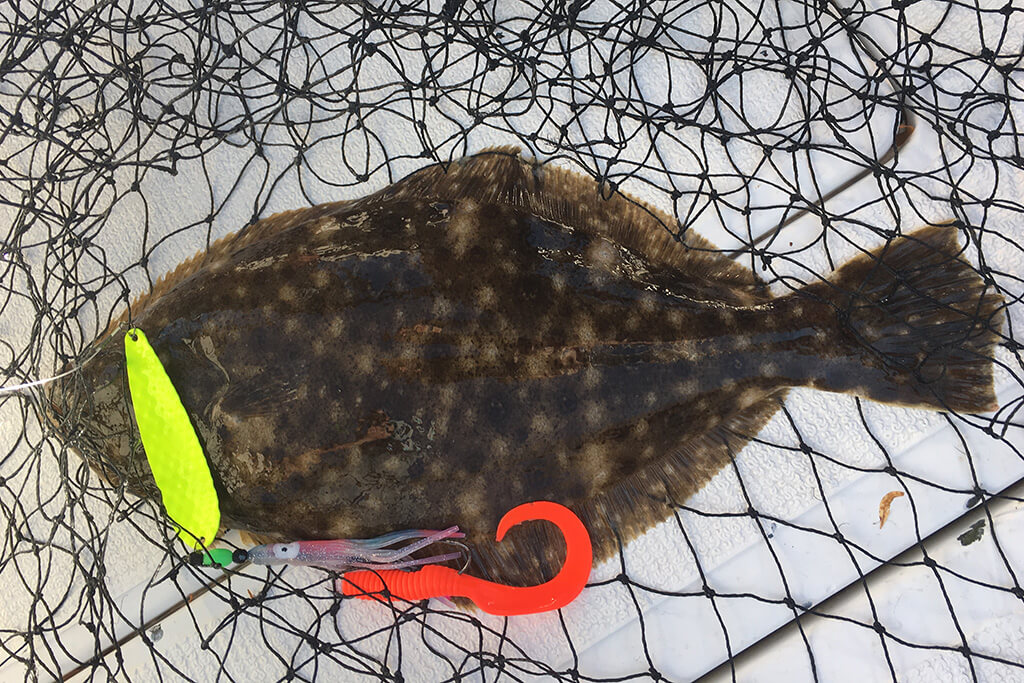 Best Bait for Flounder and How to Use It