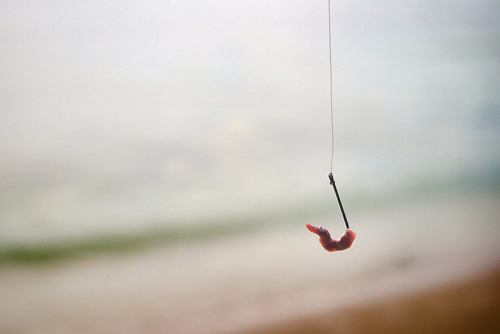 A worm dangling on a fishing hook with beach and sea behind it