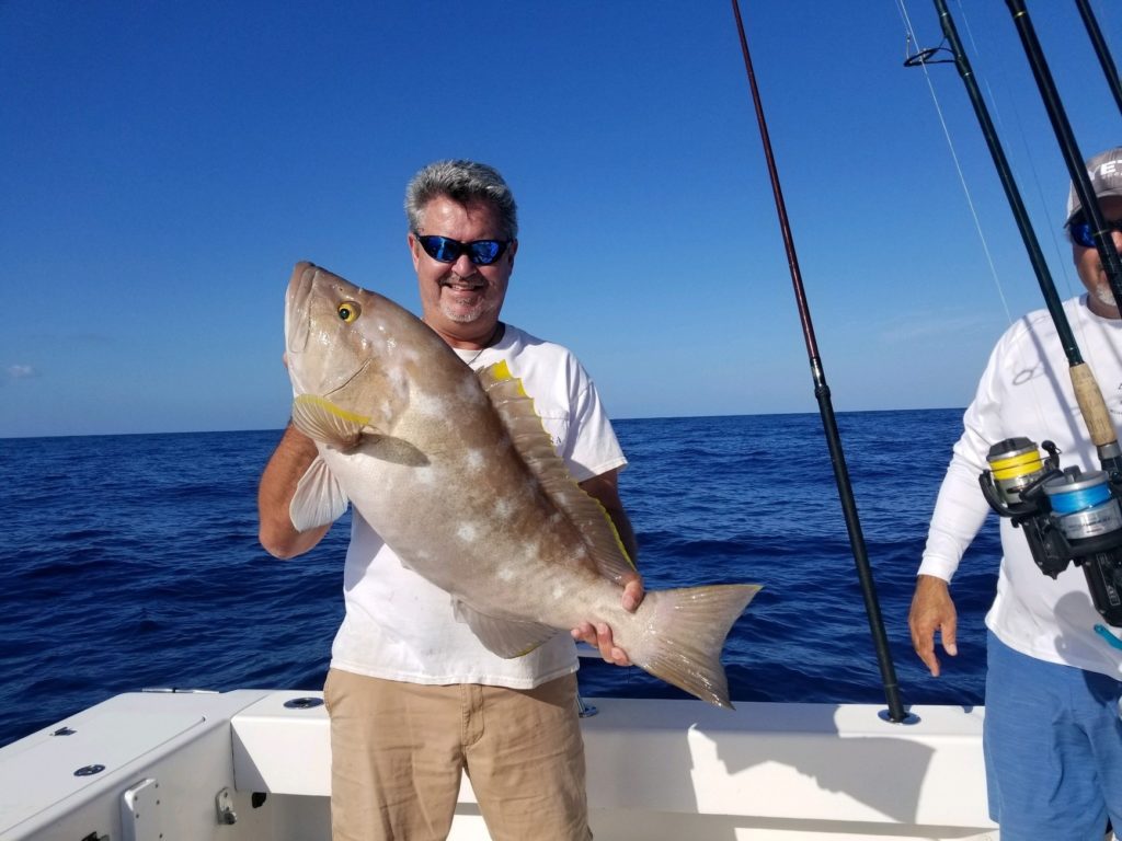 best rod and reel combo for grouper