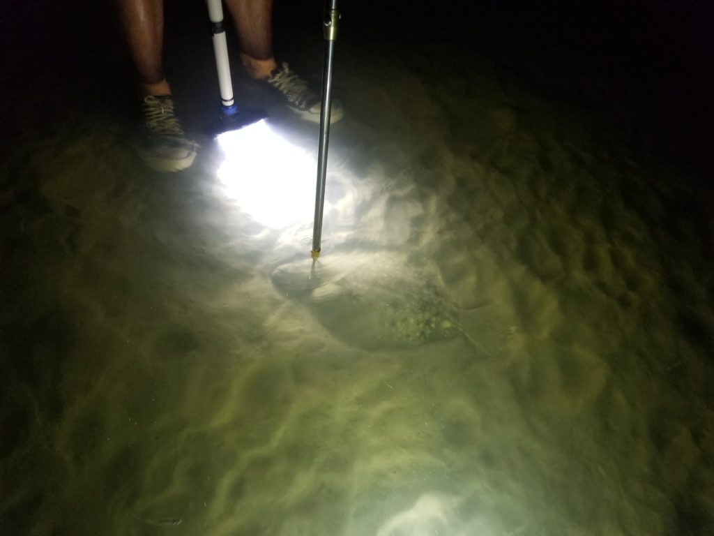 A closeup of the water, with a person's feet visible, and a flashlight highlighting Flounder gigging on thr sea bed