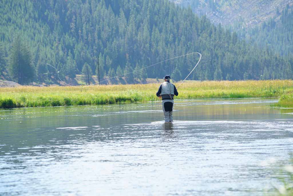 A fly fisherman standing in a mountain river, caught in the middle of a cast on a sunny day with lush, green pine trees in the distance