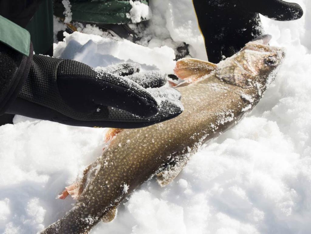 How to Go Ice Fishing in Michigan The Complete Guide (Updated 2023)