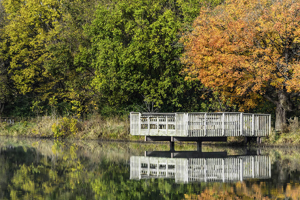 8 Best Spots for Fall Trout Season in Illinois