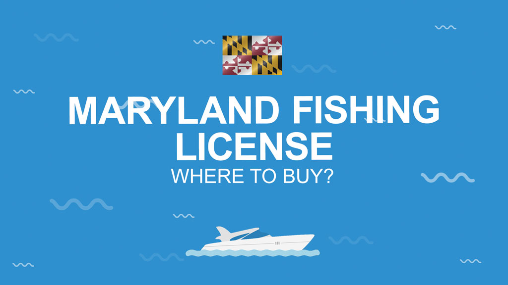 Maryland Fishing License The Complete Guide (Updated 2023)