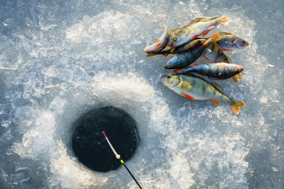 How to Go Ice Fishing in Lake Erie The Complete Guide (Updated 2023)