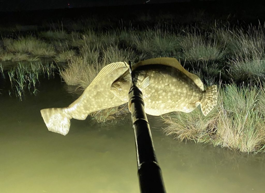 Flounder Gigging The Ultimate Guide