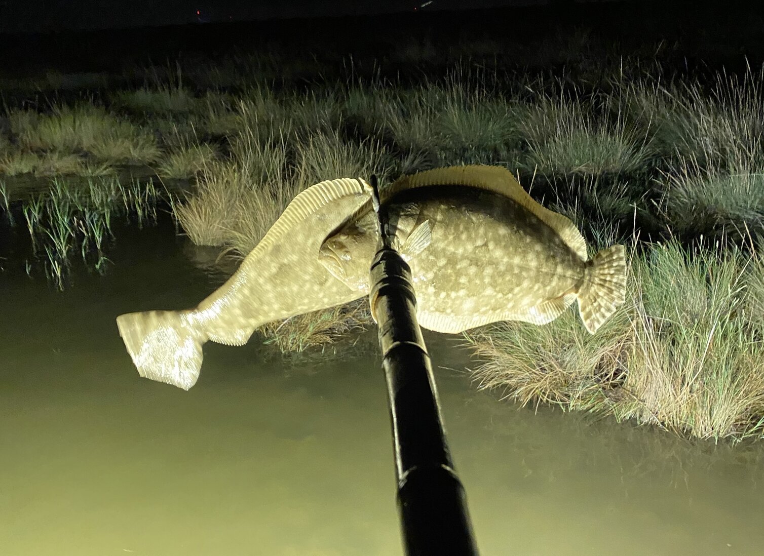 How To Go Flounder Gigging The Complete Guide Updated 2023 