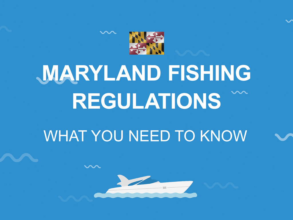 Maryland Fishing The Complete Guide (Updated 2023)