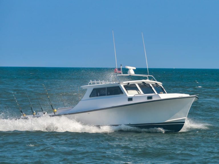 Maryland Fishing The Complete Guide (Updated 2023)