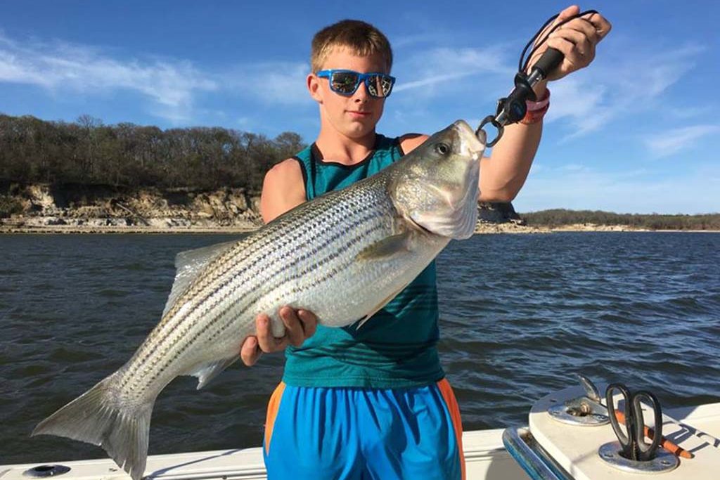 A teen holds a Striper on board a charter on Lake Texoma in Texas on a sunny day