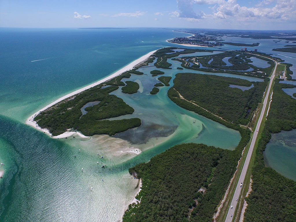 How to Go Deep Sea Fishing in Fort Myers The Complete Guide (Updated 2023)